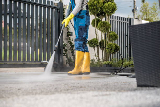 Best House Exterior Washing  in Torrington, WY